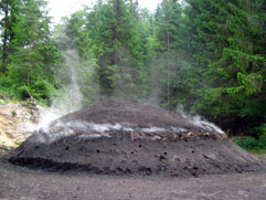 oglarstvo